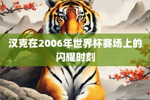 汉克在2006年世界杯赛场上的闪耀时刻