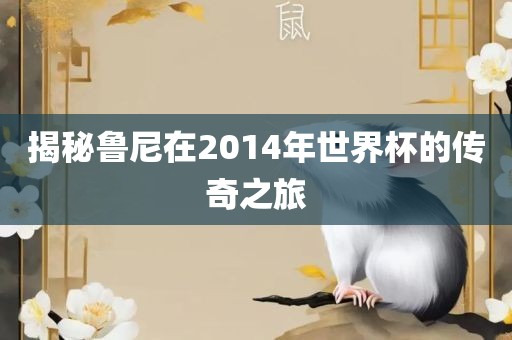 揭秘鲁尼在2014年世界杯的传奇之旅洪湖市顺升工程机械租赁有限公司