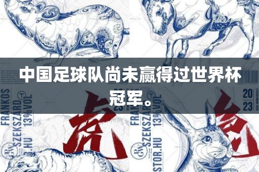 中国足球队尚未赢得过世界杯冠军。