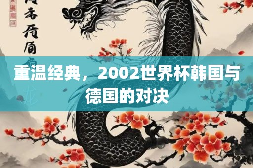 重温经典，2002世界杯韩国与德国的对决洪湖市顺升工程机械租赁有限公司