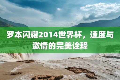 罗本闪耀2014世界杯，速度与激情的完美诠释洪湖市顺升工程机械租赁有限公司
