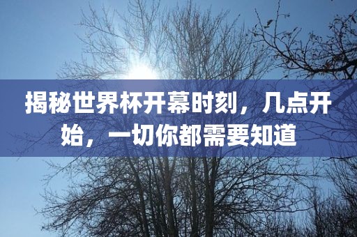 揭秘世界杯开幕时刻，几点开始，一切你都需要知道洪湖市顺升工程机械租赁有限公司