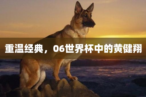 重温经典，06世界杯中的黄健翔