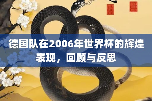德国队在2006年世界杯的辉煌表现，回顾与反思