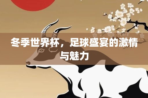 冬季世界杯，足球盛宴的激情与魅力