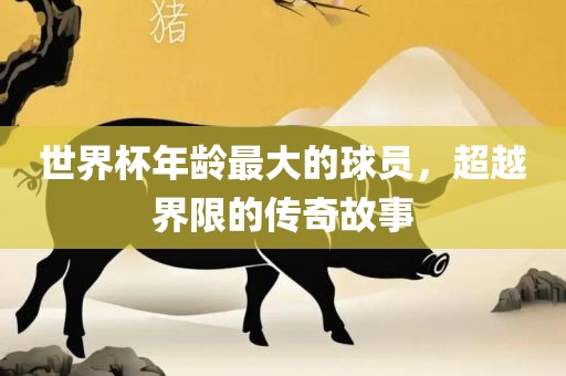 世界杯年龄最大的球员，超越界限的传奇故事洪湖市顺升工程机械租赁有限公司