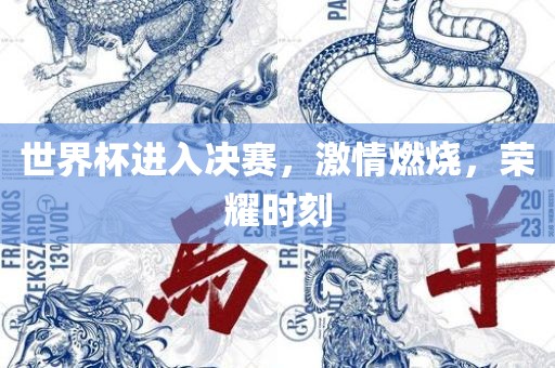 世界杯进入决赛，激情燃烧，荣耀时刻