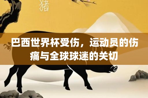 巴西世界杯受伤，运动员的伤痛与全球球迷的关切洪湖市顺升工程机械租赁有限公司