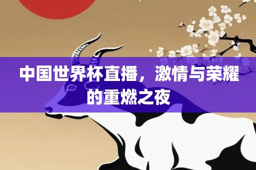 中国世界杯直播，激情与荣耀的重燃之夜洪湖市顺升工程机械租赁有限公司