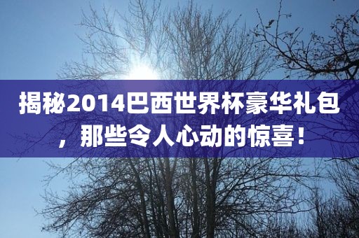 揭秘2014巴西世界杯豪华礼包，那些令人心动的惊喜！洪湖市顺升工程机械租赁有限公司