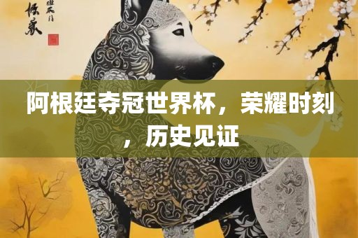 阿根廷夺冠世界杯，荣耀时刻，历史见证