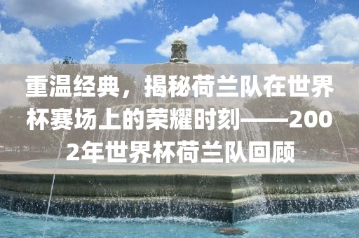 重温经典，揭秘荷兰队在世界杯赛场上的荣耀时刻——2002年世界杯荷兰队回顾洪湖市顺升工程机械租赁有限公司