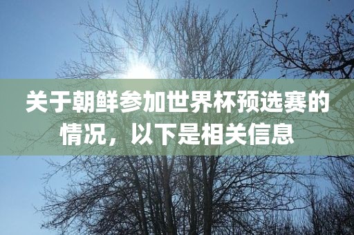 关于朝鲜参加世界杯预选赛的情况，以下是相关信息洪湖市顺升工程机械租赁有限公司