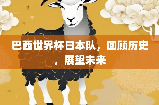 巴西世界杯日本队，回顾历史，展望未来洪湖市顺升工程机械租赁有限公司