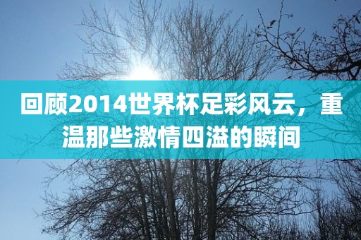 回顾2014世界杯足彩风云，重温那些激情四溢的瞬间洪湖市顺升工程机械租赁有限公司