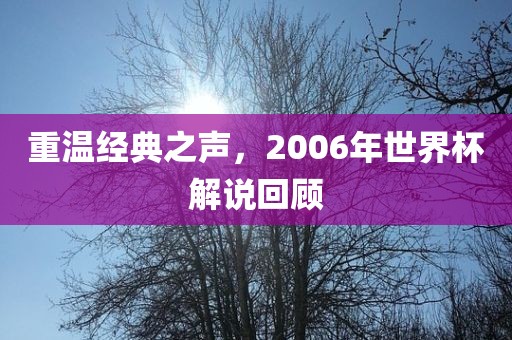 重温经典之声，2006年世界杯解说回顾洪湖市顺升工程机械租赁有限公司
