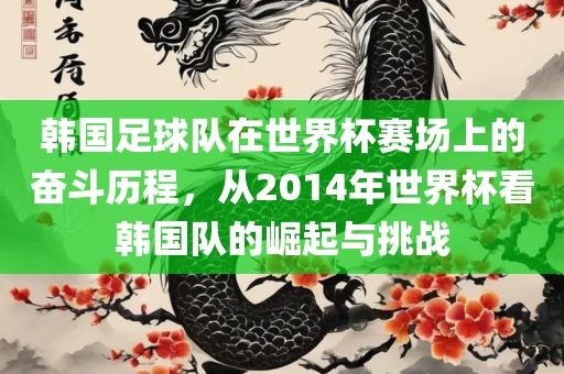 韩国足球队在世界杯赛场上的奋斗历程，从2014年世界杯看韩国队的崛起与挑战洪湖市顺升工程机械租赁有限公司