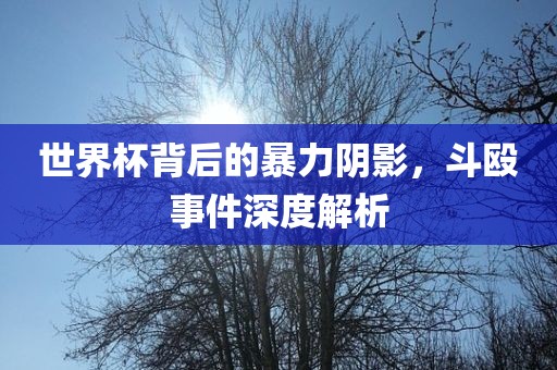 世界杯背后的暴力阴影，斗殴事件深度解析洪湖市顺升工程机械租赁有限公司