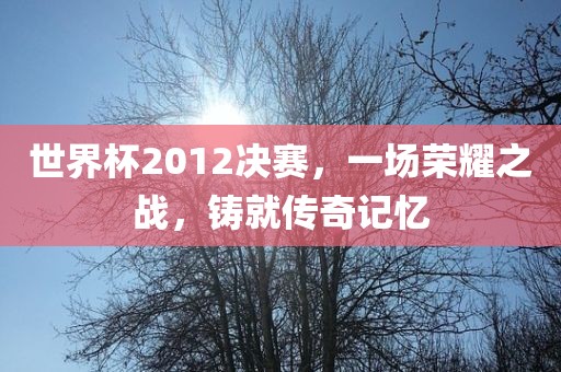 世界杯2012决赛，一场荣耀之战，铸就传奇记忆
