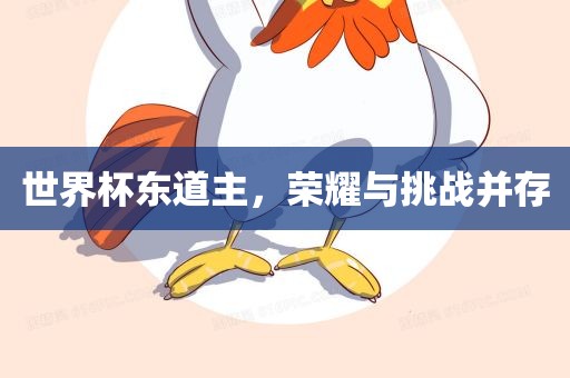 世界杯东道主，荣耀与挑战并存洪湖市顺升工程机械租赁有限公司