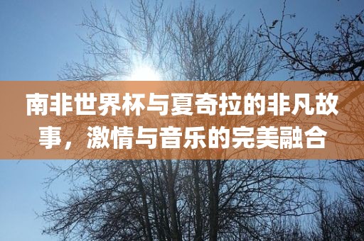 南非世界杯与夏奇拉的非凡故事，激情与音乐的完美融合