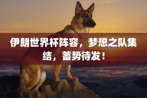 伊朗世界杯阵容，梦想之队集结，蓄势待发！洪湖市顺升工程机械租赁有限公司