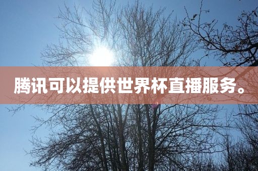 腾讯可以提供世界杯直播服务。