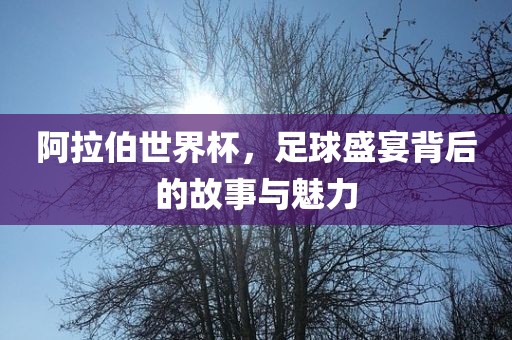 阿拉伯世界杯，足球盛宴背后的故事与魅力