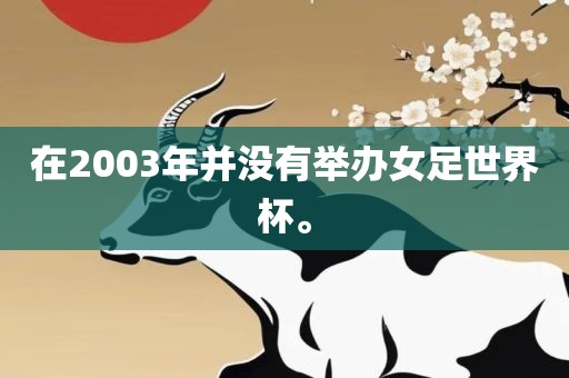 在2003年并没有举办女足世界杯。