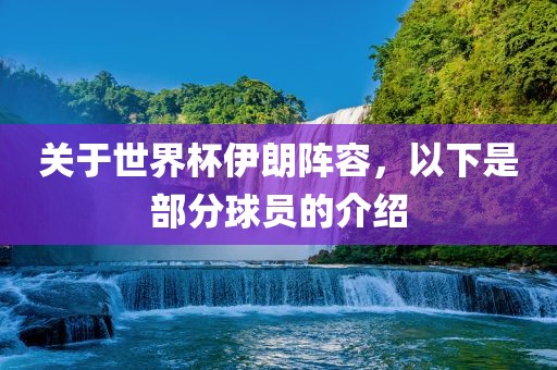 关于世界杯伊朗阵容，以下是部分球员的介绍洪湖市顺升工程机械租赁有限公司
