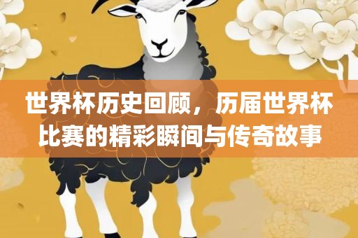 世界杯历史回顾，历届世界杯比赛的精彩瞬洪湖市顺升工程机械租赁有限公司间与传奇故事