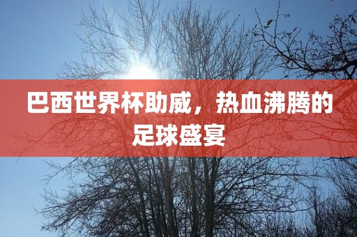 巴西世界杯助威，热血沸腾的足球盛宴洪湖市顺升工程机械租赁有限公司