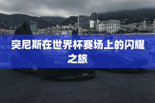 突尼斯在世界杯赛场上的闪耀之旅洪湖市顺升工程机械租赁有限公司