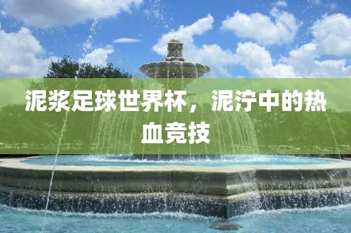 泥浆足球世界杯，泥泞中的热血竞技洪湖市顺升工程机械租赁有限公司