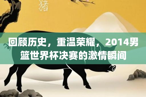 回顾历史，重温荣耀，2014男篮世界杯决赛的激情瞬间洪湖市顺升工程机械租赁有限公司