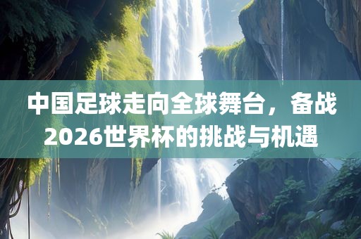 中国足球走向全球舞台，备战2026世界杯的挑战与机遇