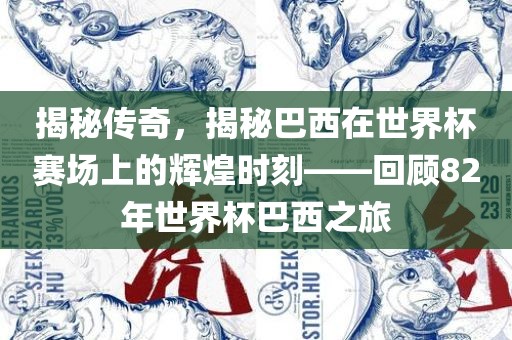 揭秘传奇，揭秘巴西在世界杯赛场上的辉煌时刻——回顾82年世界杯巴西之旅洪湖市顺升工程机械租赁有限公司