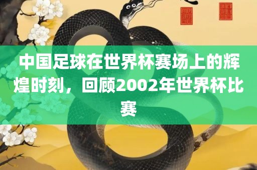 中国足球在世界杯赛场上的辉煌时刻，回顾2002年世界杯比赛