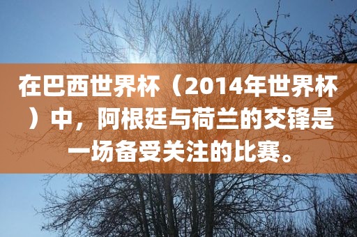 在巴西世界杯（2014年世界杯）中，阿根廷洪湖市顺升工程机械租赁有限公司与荷兰的交锋是一场备受关注的比赛。
