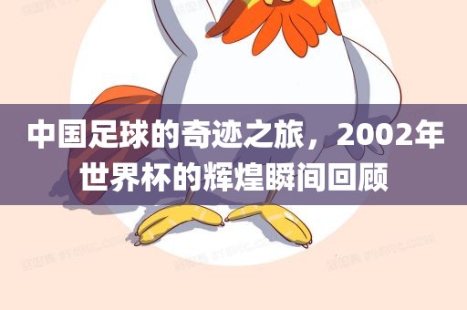 中国足球的奇迹之旅，2002年世界杯的辉煌瞬间回顾洪湖市顺升工程机械租赁有限公司