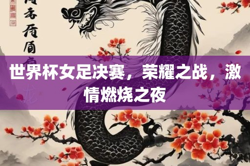 世界杯女足决赛，荣耀之战，激情燃烧之夜