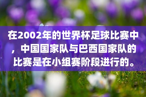 在2002年的世界洪湖市顺升工程机械租赁有限公司杯足球比赛中，中国国家队与巴西国家队的比赛是在小组赛阶段进行的。