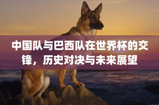 中国队与巴西队在世界杯的交锋，历史对决与未来展望洪湖市顺升工程机械租赁有限公司