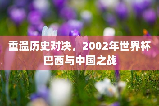 重温历史对决，2002年世界杯巴西与中国之战洪湖市顺升工程机械租赁有限公司