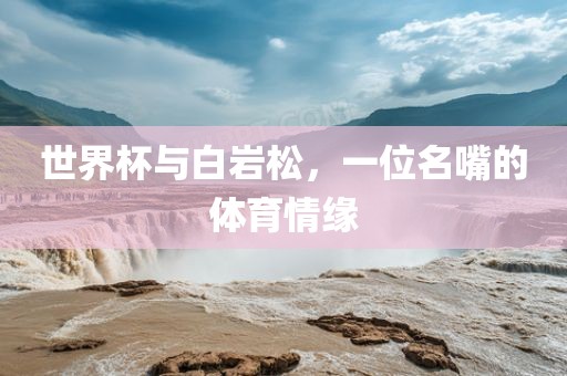 世界杯与白岩松，一位名嘴的体育情缘洪湖市顺升工程机械租赁有限公司