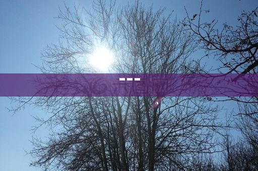 -洪湖市顺升工程机械租赁有限公司--