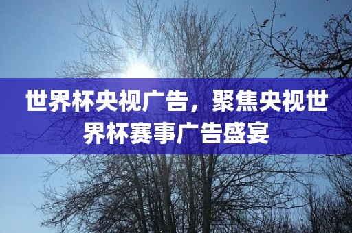 世界杯央视广告，聚焦央视世界杯赛事广告盛宴洪湖市顺升工程机械租赁有限公司
