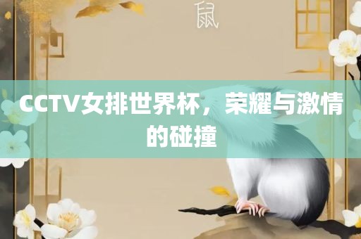 CCTV女排世界杯，荣耀与激情的洪湖市顺升工程机械租赁有限公司碰撞