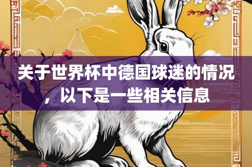 关于世界杯中德国球迷的情况，以下是一些相关信息洪湖市顺升工程机械租赁有限公司