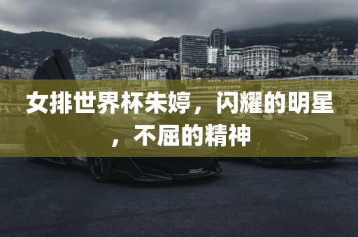 女排世界杯朱婷，闪耀的明星，不屈的精神洪湖市顺升工程机械租赁有限公司